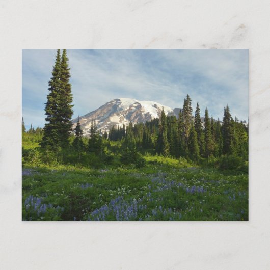 Mount Rainier Ochtendlicht Briefkaart (Voorkant)