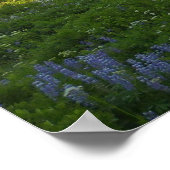 Mount Rainier Ochtendlicht Poster (Hoek)