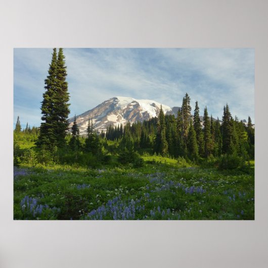 Mount Rainier Ochtendlicht Poster (Voorkant)
