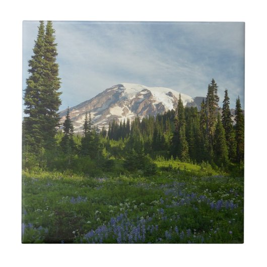 Mount Rainier Ochtendlicht Tegeltje (Voorkant)