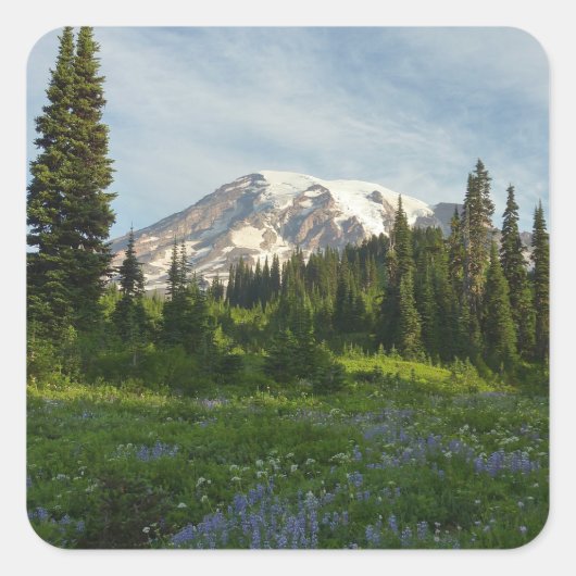 Mount Rainier Ochtendlicht Vierkante Sticker (Voorkant)