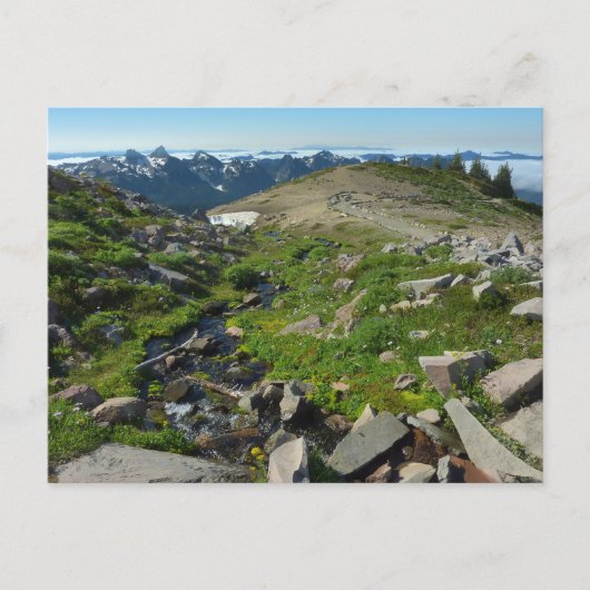 Mount Rainier Panorama Point Briefkaart (Voorkant)