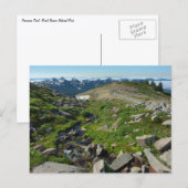 Mount Rainier Panorama Point Briefkaart (Voorkant / Achterkant)