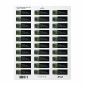 Mount Rainier Panorama Point Etiket (Full Sheet)