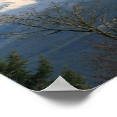 Mount Rainier Poster (Hoek)