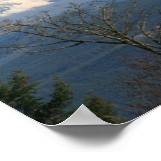 Mount Rainier Poster (Hoek)