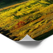 Mount Rainier Poster (Hoek)