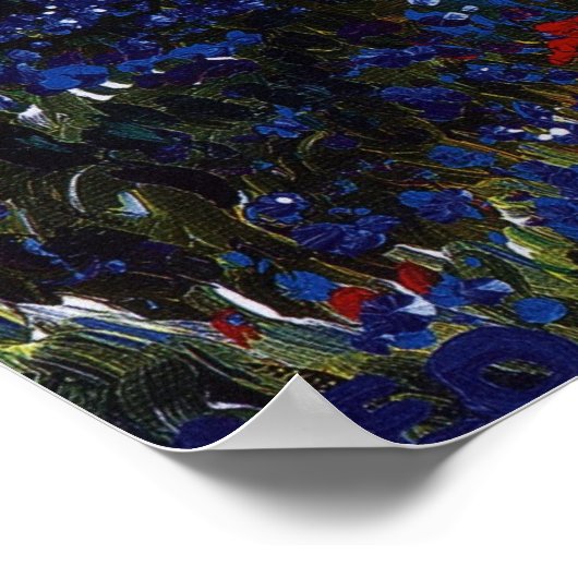 Mount Rainier Poster (Hoek)