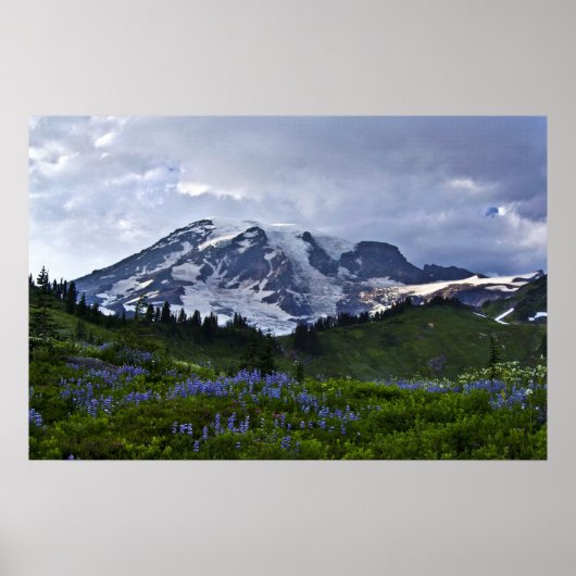 Mount Rainier Poster (Voorkant)