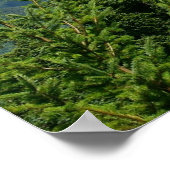 Mount Rainier Poster (Hoek)