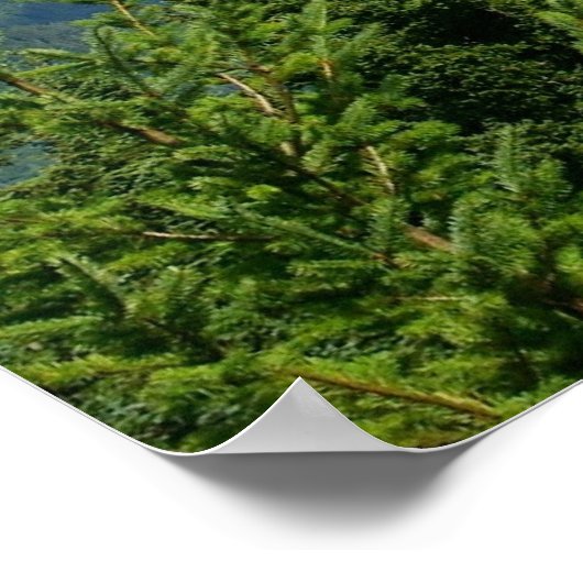 Mount Rainier Poster (Hoek)