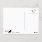 Mount Rainier Reflecteerde Sunrise II Briefkaart (Achterkant)