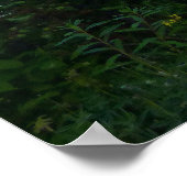 Mount Rainier Reflecteerde Sunrise II Poster (Hoek)