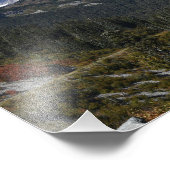 Mount Rainier Scenic Valley Landscape Foto Afdruk (Hoek)