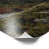 Mount Rainier Scenic Valley Landscape Foto Afdruk (Hoek)