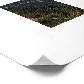 Mount Rainier Schitterend Valleilandschap Poster (Hoek)