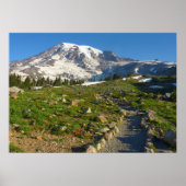 Mount Rainier Skyline Trail Poster (Voorkant)