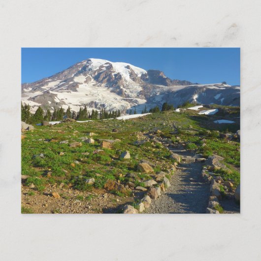 Mount Rainier Skyline Trail Uitzicht Briefkaart (Voorkant)