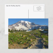 Mount Rainier Skyline Trail Uitzicht Briefkaart (Voorkant / Achterkant)