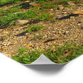 Mount Rainier Skyline Trail Uitzicht Poster (Hoek)