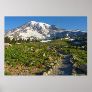 Mount Rainier Skyline Trail Uitzicht Poster