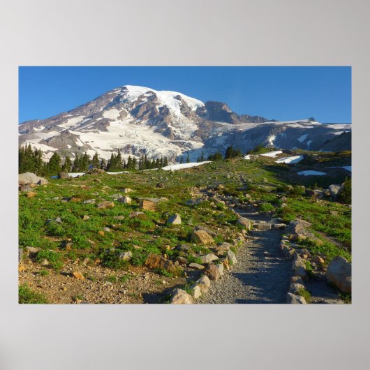 Mount Rainier Skyline Trail Uitzicht Poster (Voorkant)