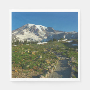 Mount Rainier Skyline Trail Uitzicht Servet