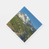 Mount Rainier Skyline Trail Uitzicht Servet (Hoek)