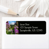 Mount Rainier tussen Paarse Phlox-bloemen Etiket (Insitu)