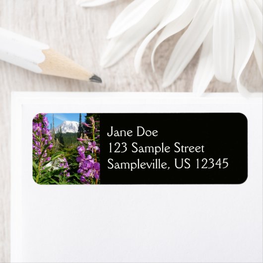 Mount Rainier tussen Paarse Phlox-bloemen Etiket (Insitu)