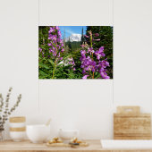 Mount Rainier tussen Paarse Phlox-bloemen Poster (Keuken)