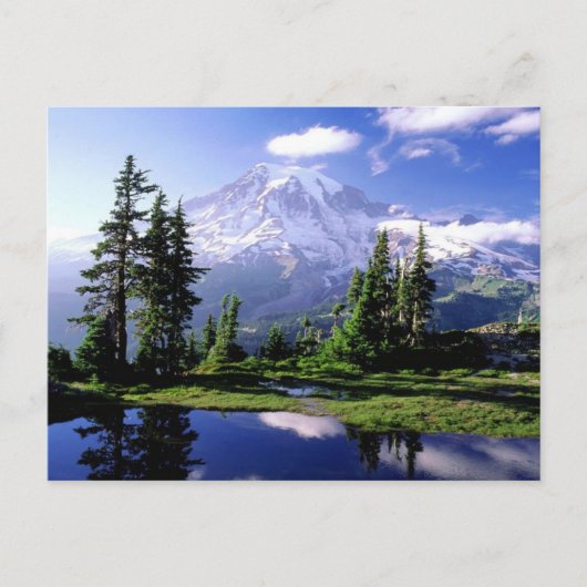Mount Rainier Washington Briefkaart (Voorkant)