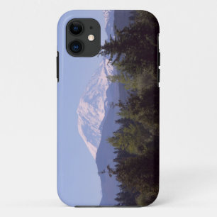 Mount Rainier, Washington iPhone 5 Hoesje