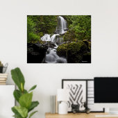 Mount Rainier Waterfall Poster (Thuiskantoor)