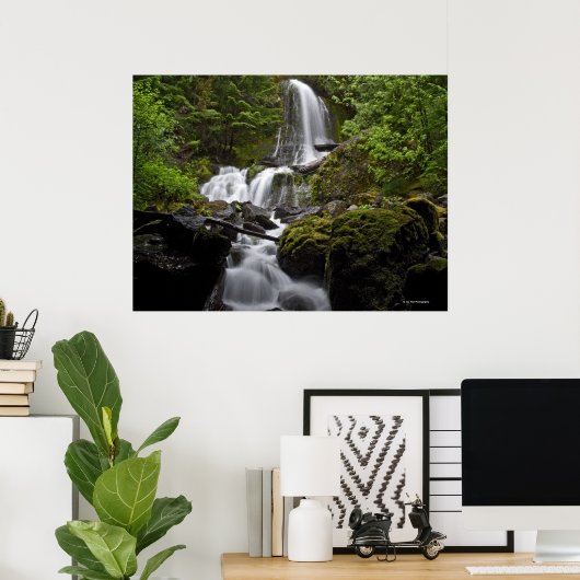 Mount Rainier Waterfall Poster (Thuiskantoor)