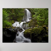 Mount Rainier Waterfall Poster (Voorkant)