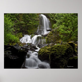 Mount Rainier Waterfall Poster