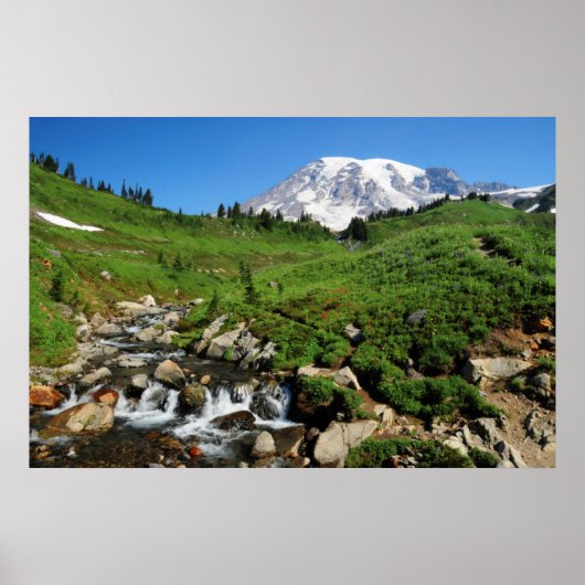 Mount Rainier, waterval, besneeuwd Poster (Voorkant)