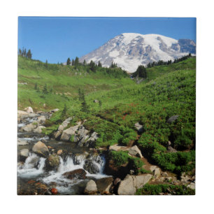 Mount Rainier, waterval, besneeuwd Tegeltje