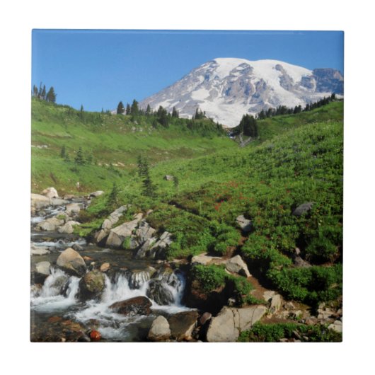 Mount Rainier, waterval, besneeuwd Tegeltje (Voorkant)