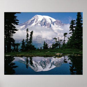 Mount Rainier weerspiegeld in een bergmeer Poster