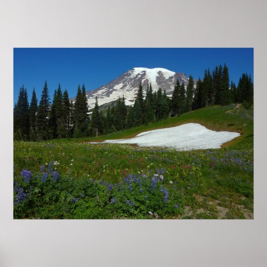 Mount Rainier, Wilde Bloemen en Sneeuw Poster (Voorkant)