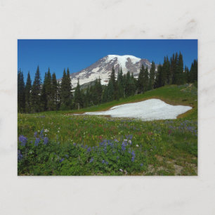Mount Rainier, Wildflower en Snow Briefkaart