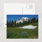 Mount Rainier, Wildflower en Snow Briefkaart (Voorkant / Achterkant)