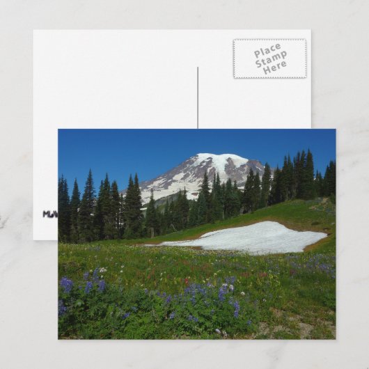 Mount Rainier, Wildflower en Snow Briefkaart (Voorkant / Achterkant)