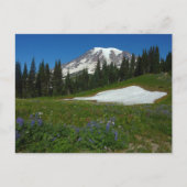 Mount Rainier, Wildflower en Snow Briefkaart (Voorkant)