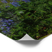 Mount Rainier, Wildflower en Snow Poster (Hoek)