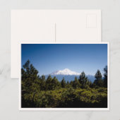 Mount Ranier Washington Pacific Northwest Briefkaart (Voorkant / Achterkant)
