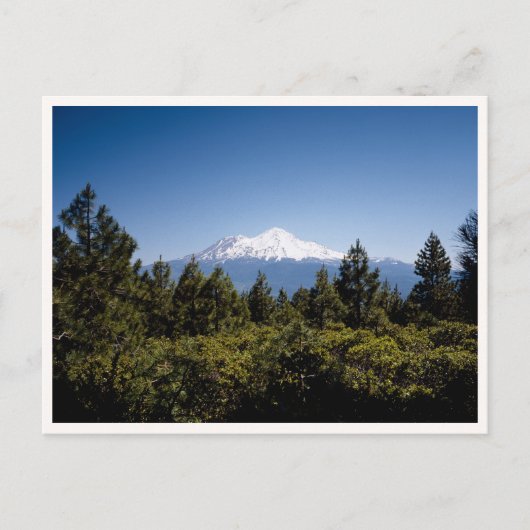 Mount Ranier Washington Pacific Northwest Briefkaart (Voorkant)