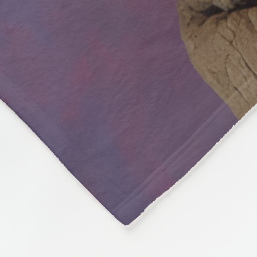 Mount Rushmore Fleece Blanket Deken (Hoek)